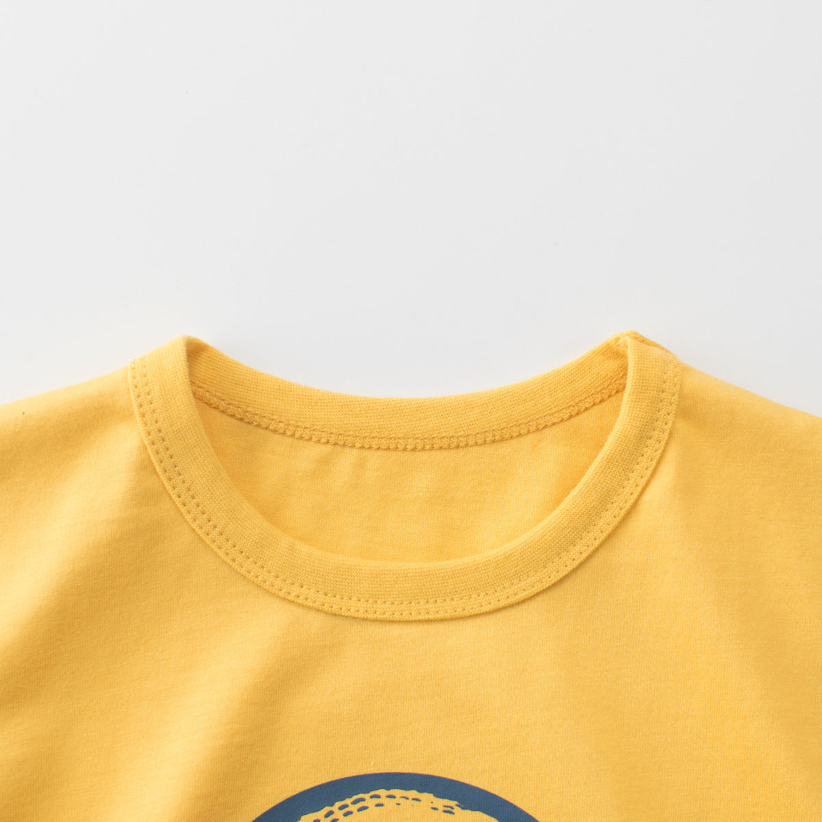 Boys’ Dinosaurs and Letters Print T-shirt in European and American