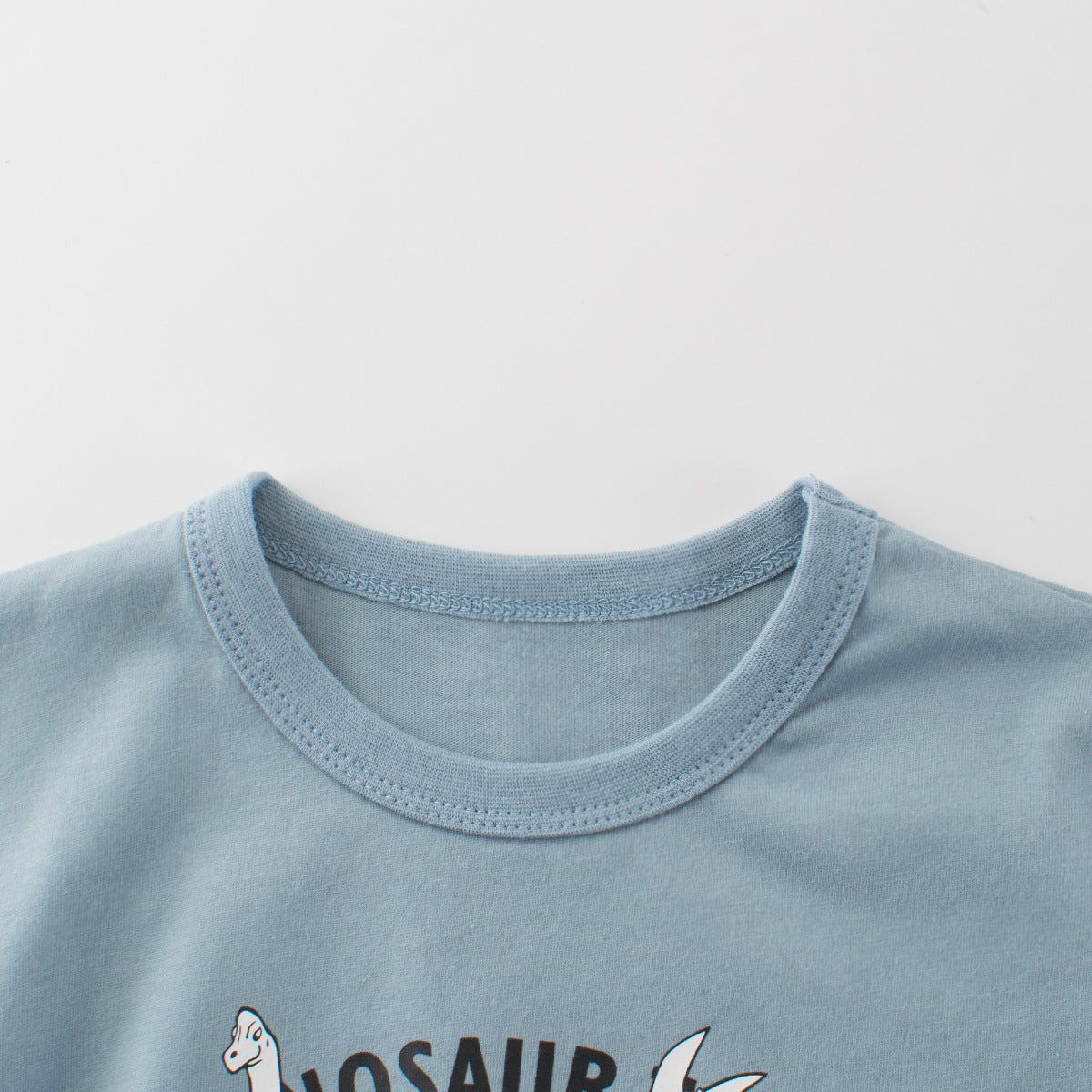 Boys’ Dinosaurs and Letters Print T-shirt in European and American