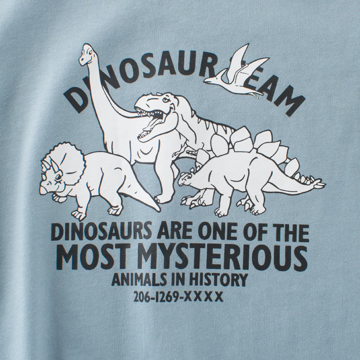 Boys’ Dinosaurs and Letters Print T-shirt in European and American